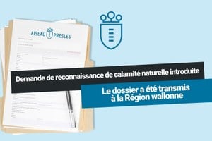 Illustration de l'actualité - cliquer pour agrandir