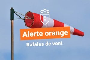 Illustration de l'actualité - cliquer pour agrandir