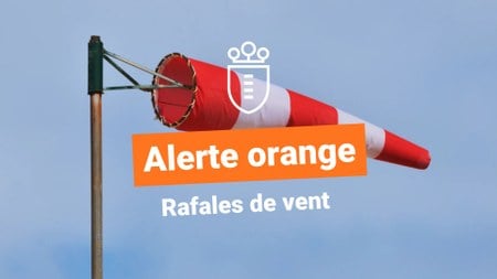 Illustration de l'actualité - cliquer pour agrandir