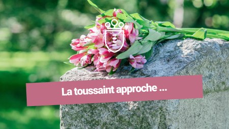 Illustration de l'actualité - cliquer pour agrandir
