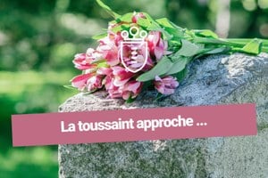 Illustration de l'actualité - cliquer pour agrandir
