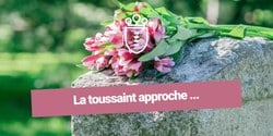 La fête de la Toussaint approche...