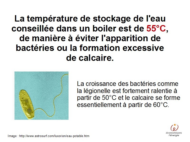 Chauds, chauds les marrons!
