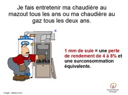 Grand nettoyage d'automne