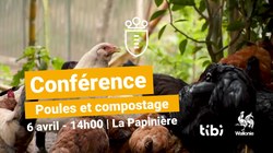 Poule et compostage - conférence