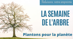 Journée de l'arbre 2023