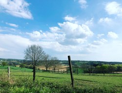 Paysages d'Aiseau-Presles